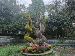 -杭州植物园