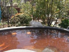 -太白山御龙湾温泉
