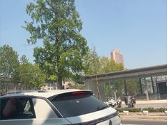 -江苏省美术馆(长江路新馆)