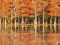 -白鹭湾湿地公园