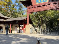 -大慈岩风景区