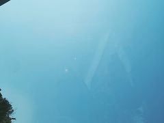 -麦当劳(杨高南路店)