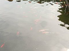 -长阳创谷