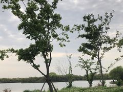 -申隆生态园