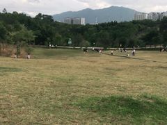 -聚龙山公园