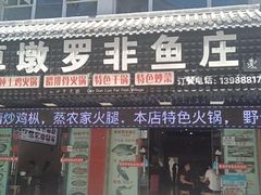 -草墩罗非鱼庄•野生菌•腊排骨(七星街上段店)