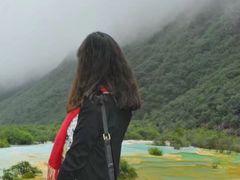 -黄龙山原始森林景区