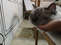 -剧狐剧本杀·月球探案馆(人民广场1号店)