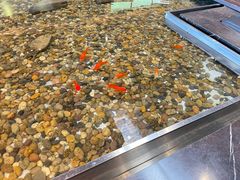 -上海怡沁园度假酒店