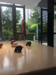 点击看大图 -奈瑞儿美养院