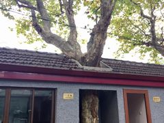 -上海孙中山故居纪念馆
