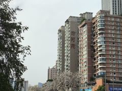 -成都市活水公园