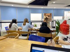 -新航道雅思托福·留学·考研培训(人民广场校区)