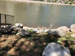 -云南艺术学院(呈贡校区)