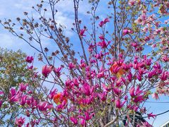 -中华郡文化旅游景区