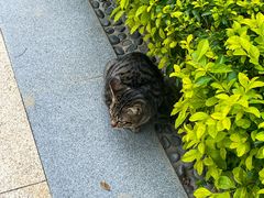 -万达广场(南宁青秀店)