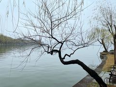 -星巴克(西湖天地店)