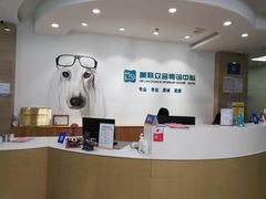 -美联众合动物医院·24h转诊中心