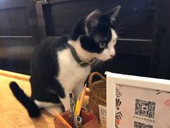 -猫的天空之城概念书店(杭州南宋御街店)