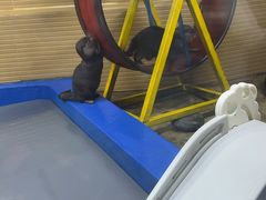 -太平洋海底世界