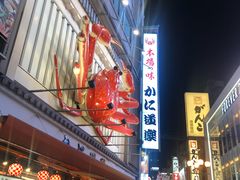 -蟹道乐(道顿堀本店)