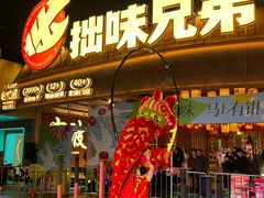 -拙味兄弟·活龙虾·旗舰店(环城西路店)