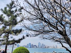 -唐岛湾公园