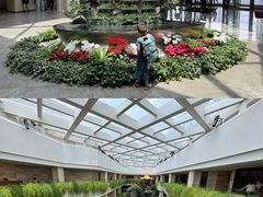 -广州白天鹅宾馆