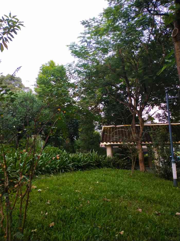 铁岗公园-"铁岗公园位于足球公园对面,企龙山公园正对.