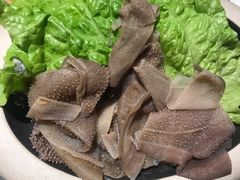 毛肚-呷哺呷哺 黄金牧场 (新中关购物中心店)