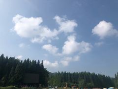 -武陵山森林公园