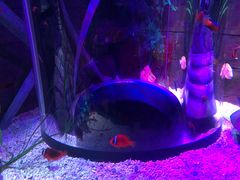 -沈阳海洋探索中心