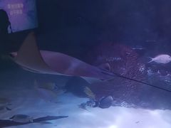 -沈阳海洋探索中心