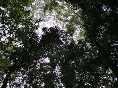 -火炉山森林公园