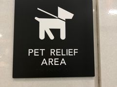 -华盛顿杜勒斯国际机场