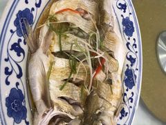 清蒸白水鱼-状元楼(金溪路店)