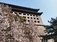 -北京明城墙遗址公园