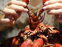 -松哥油焖大虾(科技园店)