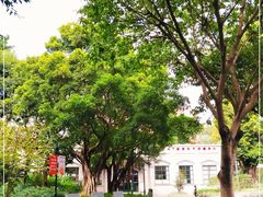 -东风公园