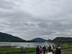 -风云岭森林公园