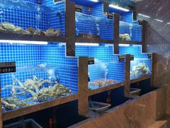 水产区-虾佬圣汤