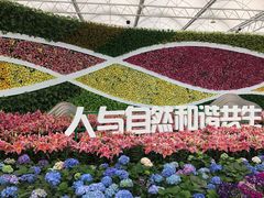 -万顷园艺世界