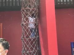 -中国福利会少年宫