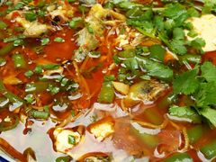 -院8里·少城记忆老川菜(宽窄巷子店)