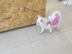 -怪兽屋·羊驼·猫咖·狗咖(俊华广场店)