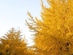 -辽宁大学(崇山校区)