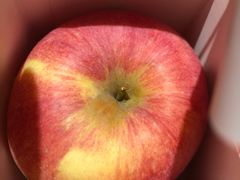 -老地方铁锅炖(宋庄路店)