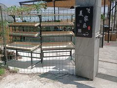-美家乐农庄·露营·团建(大治路店)