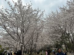 -堤角公园