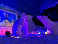 -世界之窗阿尔卑斯冰雪世界